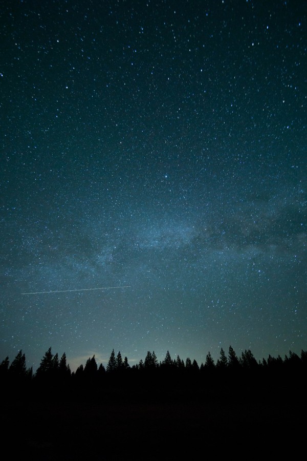 cielo, noche, nadie, nocturno, estrella, estrellas, estrellado, oscuro, nocturno, bosque, 