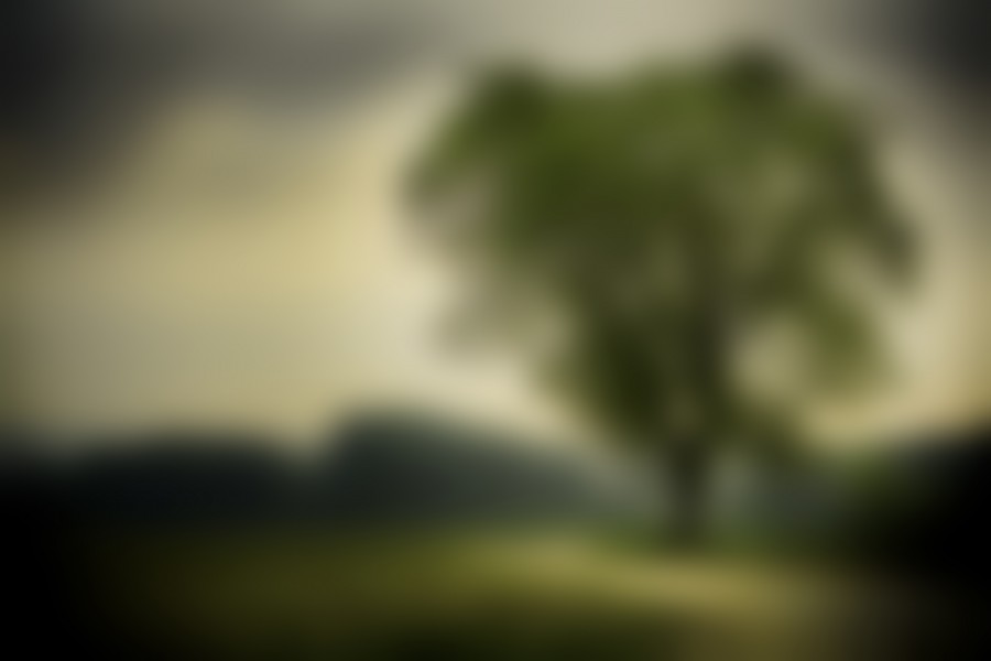 naturaleza, arbol, verde, fondo, background, blur, 