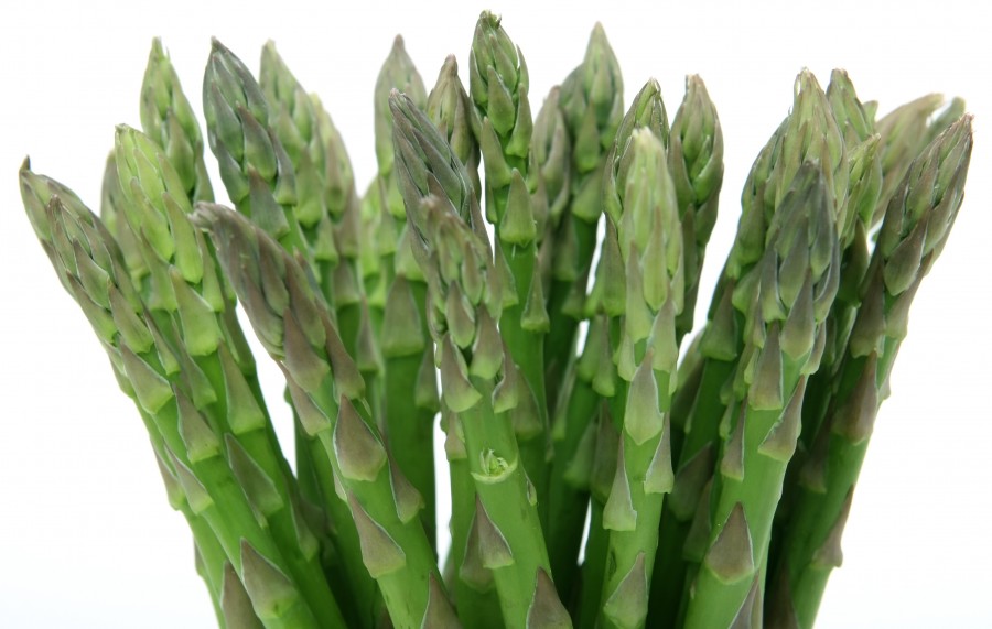 esparrago,esparragos,fondo blanco, verdura, saludable, 