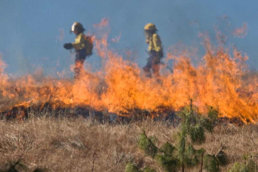dos personas, gente, bombero, bomberos, incendio, naturaleza, campo, fuego, peligro, riesgo, profesion, exterior, 