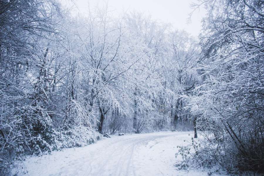 calle, ligero, blanco, congelado, naturaleza, nieve, Nevado, vacaciones, frío, bosque, montaña, árbol, invierno, romántico, velocidad, transporte, transporte, oscuridad, enero, noche, gente, noche, idílico, esquí, suizo, asfalto, Navidad, país, fiesta, casa, hielo, recurso, la carretera, cielo, Suiza, pueblo, madera, alpino, Alpes, arquitectura, fondo, hermosa, edificio, ciudad, Europa, paisaje, al aire libre, temporada, turismo, viajar
