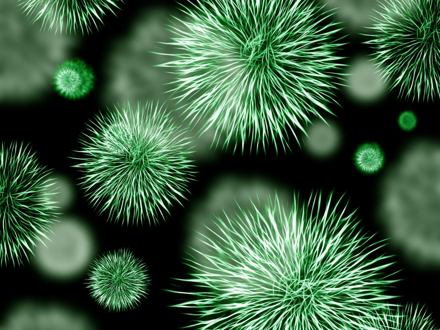 bacteria,celula,micro organismo,anatomia,patogeno,biologia,microbiologia,micro,ciencia,forma,medicina,enfermedad,virus,