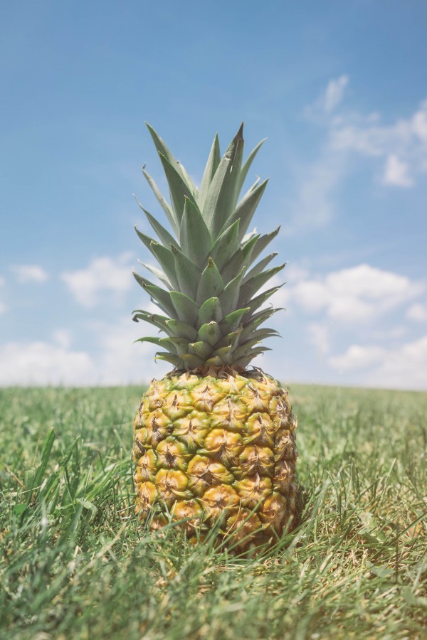 pia, frutas, frutas, fresco, tropical, comidas, anana, maduro, madura, primer plano, 