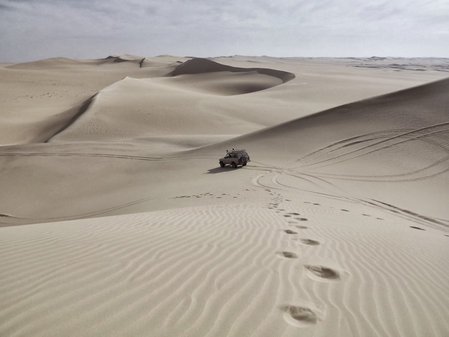 desierto, arena, medanos, duna, dunas, camioneta, 4x4, expedicion, explorar, excursion, turismo, travesia, 