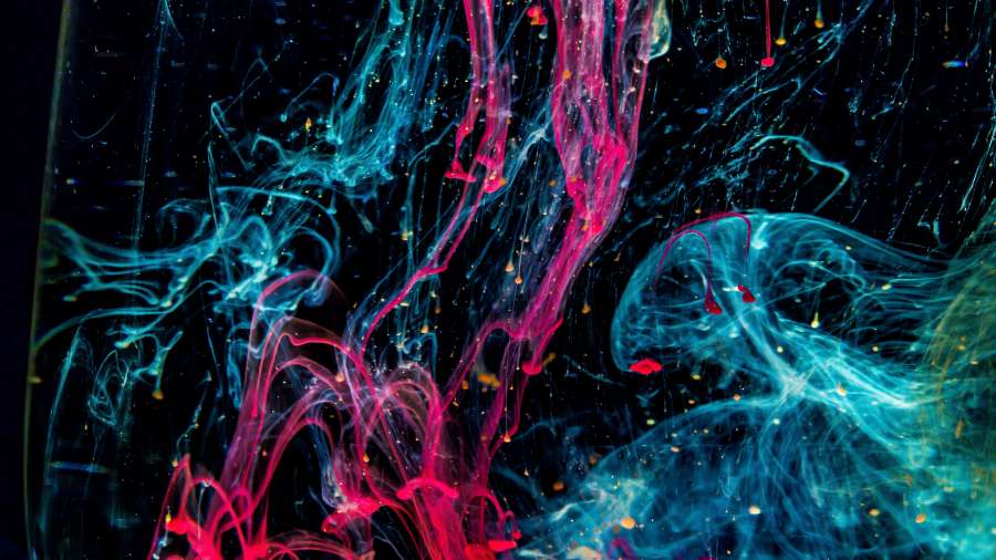 Patrón, Textura, Neón, Color de rosa, Rojo, Azul, Negro, Tinta, Agua, Gota de tinta, Experimento, Color, fondos de pantalla hd