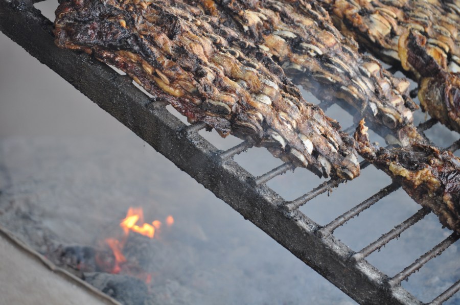 Asado, Asador, Parrilla, Comida Tipica, Tradicion, Campo, Carne, Costillar, Costillas, Brasas, Cocido, Caliente, Grasa, Argentino, Argentina, Carne de Res 