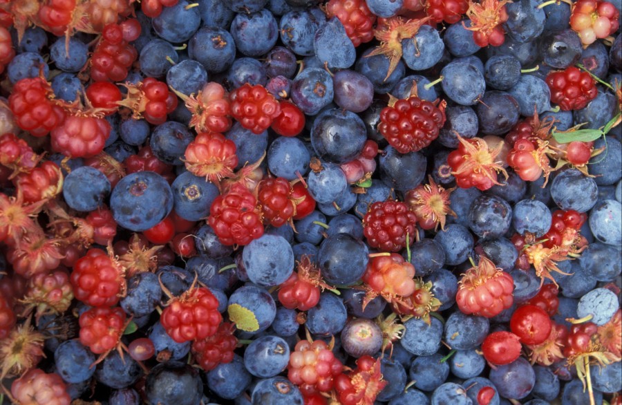 frutos rojos, bayas, frambuesa, fondo, background, arandano, arandanos, comidas, frutal, frutas, frutas, 