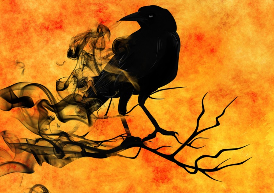 cuervo, ilustracion, halloween, terror, miedo, 