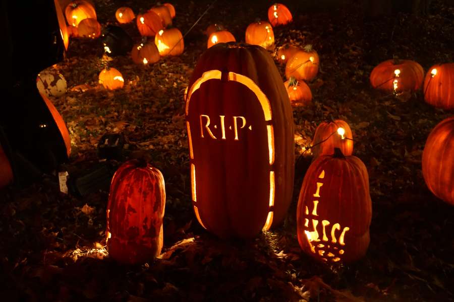 lápida sepulcral, aterrador, cementerio, tumba, halloween, horror, tumba, cementerio, mal, escalofriante, noche, fondo, muerte, fiesta, espeluznante, diseño, miedo, cruzar, muerto, fiesta, oscuro, misterio, silueta, ilustración, gótico, fantasma, vectores, lápida, luna, art, dibujos animados, octubre, símbolo, murciélago, pasto, entierro, negro, suelo, concepto, pesadilla, letrero, funeral, zombi, embrujado, completo, calabaza, piedra, calavera, feliz, otoño
