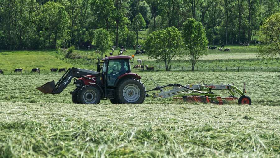 campo, tractor, cosecha, combinar, agricultura, máquina, maquinaria, cultivo, agricultura, trabajo, granja, grano, industria, trigo, rural, equipo, segador, cosecha, agrícola, verano, paisaje, campo, tierra, país, otoño, cereal, comida, Tierras de cultivo, dorado, cortar, Paja, semilla, agricultor, naturaleza, centeno, Produce, maduro, industrial, fondo, vehículo, pesado, tecnología, crecimiento, pan de molde, cielo, prado, transporte
