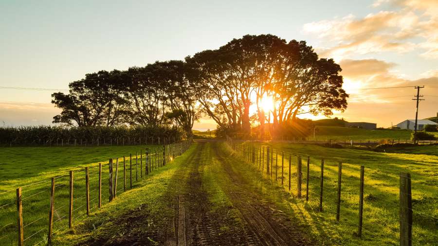 puesta de sol, rural, campo, carretera, cielo, paisaje, naturaleza, suciedad, horizonte, sol, prado, luz del sol, tierra, césped, verano, camino, camino, pista, ver, valle, escena, árbol, vacío, verde, nubes, perspectiva, día, campo, país, ligero, amanecer, planta, clima, temporada, azul, hermosa, paisaje, soleado, nube, agricultura, salvaje, suelo, dirección, colina, fila, primavera, césped, hierba, zona, encima
