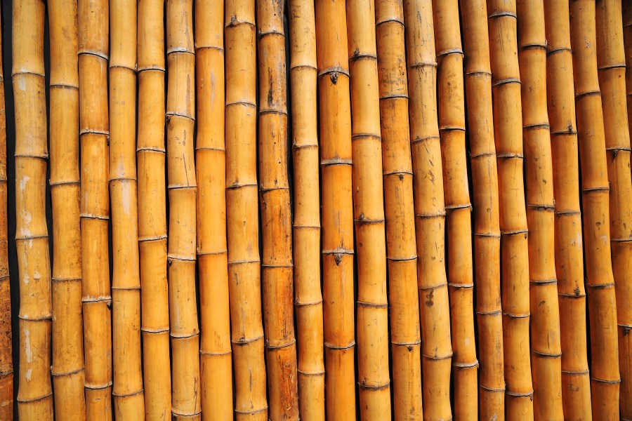 Fondo, Fondos, Textura, Texturas, Caña, Bambu, Amarillo