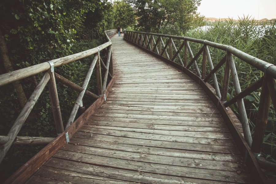 splitshire, madera, camino, puente, nadie, exterior, costa, 