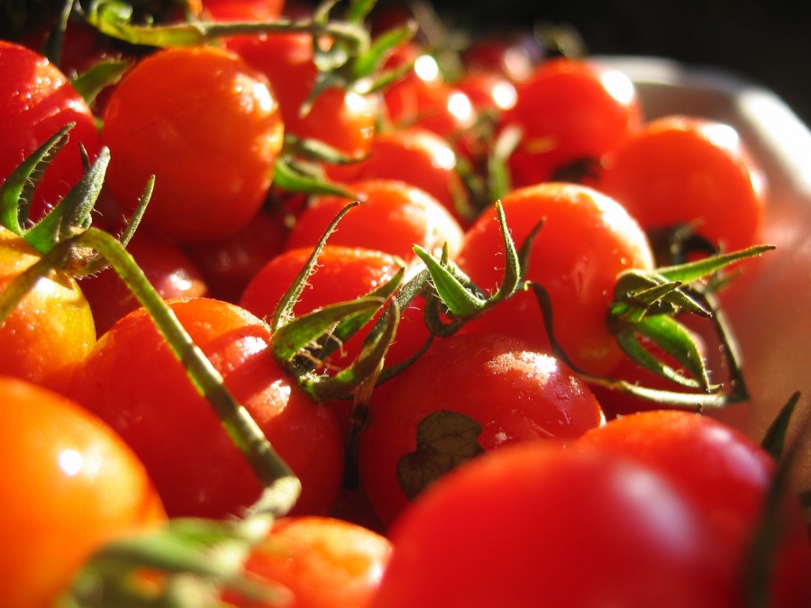 tomate, tomates, frutas, verdura, rojo, ingrediente, vista de frente, comidas, nadie, 