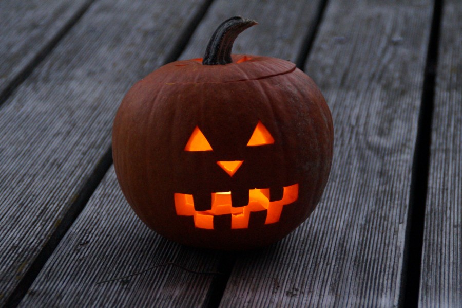 Halloween, calabaza, horror, luz, nadie, miedo, iluminado,
