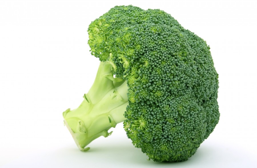 brocoli, verdura, hortaliza, fondo blanco, verde, verde, comidas, 