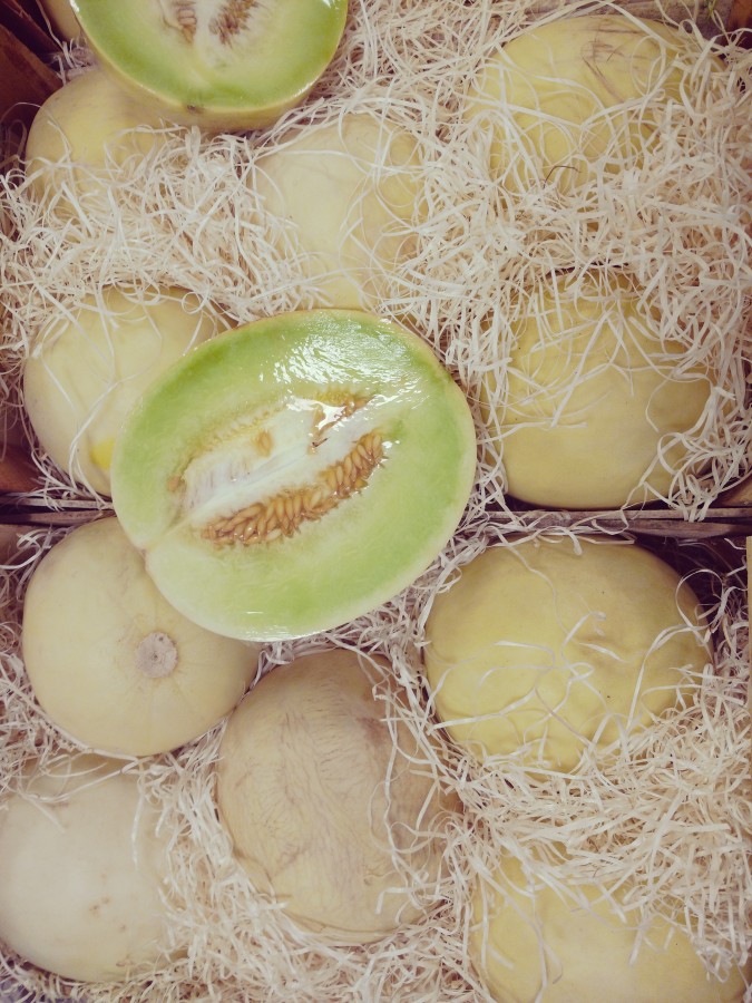 melón,melones, frutas, alimento, comida sano, nutrientes, dulce, comestible, pulpa, forma ovalada