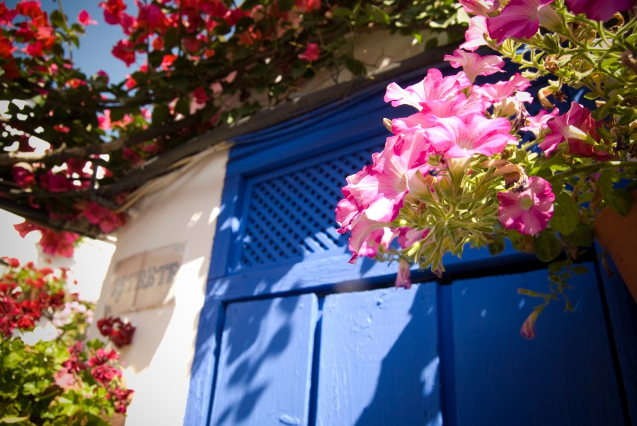 puertas, primavera, azul, casa, entrada, paredes, arquitectura, flor, flores, fachada, 