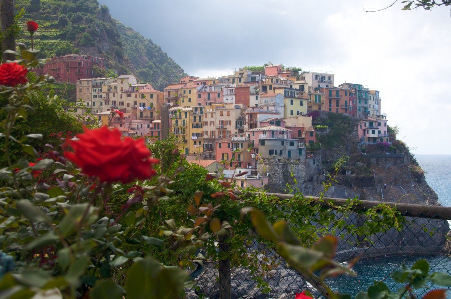 manarola e rosa, Manarola, Pueblo, Poblado, Liguria, Italia, Europa, Arquitectura, Dia, Costa, Montaña, 
