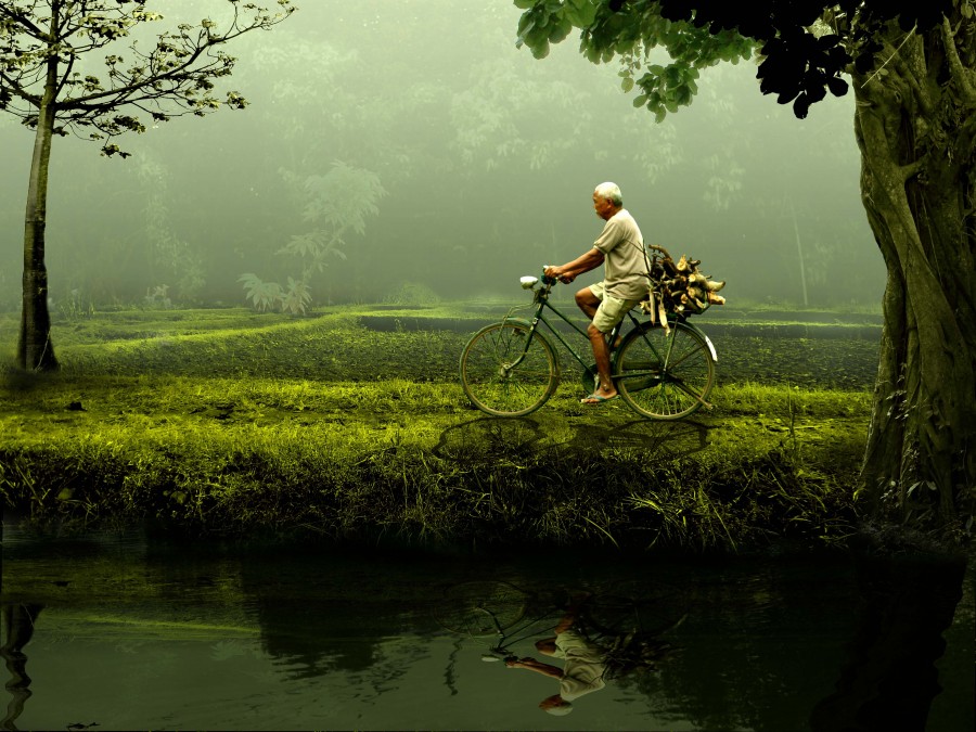 hombre, bicicleta, adulto, 50 años, bicicleta, actividad, transporte, naturaleza, dia, paseo, vietnam, asia, asiatico, verde, bosque, pasear, movimiento, 