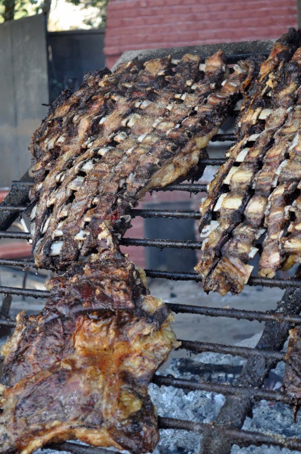 Asado, Asador, Parrilla, Comida Tipica, Tradicion, Campo, Carne, Costillar, Costillas, BrasasCocido, Caliente, Grasa, tomas jofre