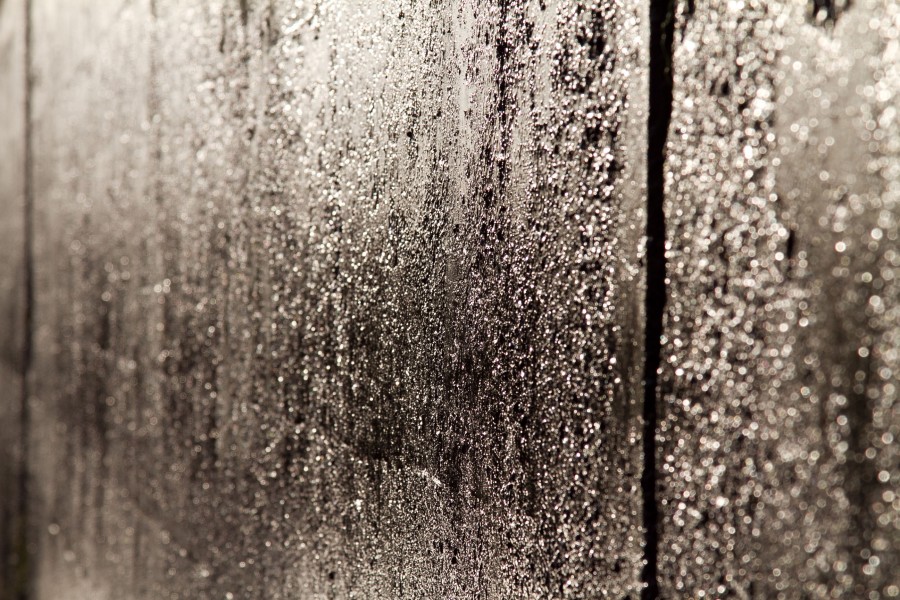 textura, paredes, mojado, humedo, muro, cemento, background, fondo, 