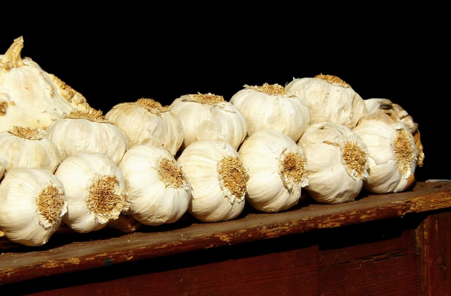 ajo, ristra de ajos, fondo negro, primer plano, verdura, vegetal, 