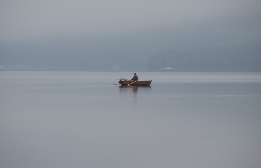 bote, lago, laguna, hombre, una persona, gente, remo, remando, remar, niebla, uno, solitario, solo, tranquilidad, 