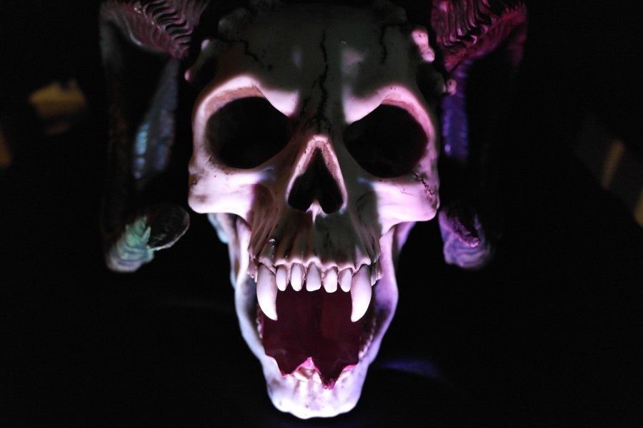 mounstruo, terror, craneo, colmillos, raro, muerte, miedo, halloween, diabolico, 