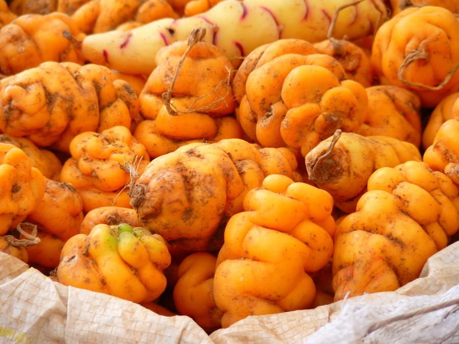papa, papas, papines, andino, andinos, pequeño,comidas,vegetal, 