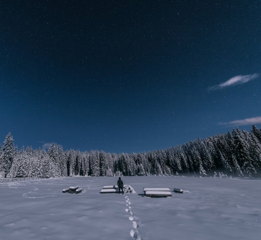 nieve, hombre, paisaje, noche, nocturno, invierno, una persona, bosque, cielo, estrellado, 
