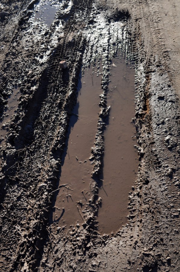 Barro, Charco, Huella, Agua Estancada, tomas jofre