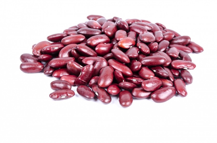 frijoles, porotos, fondo blanco, rojo, rojos, legumbre, muchos, 