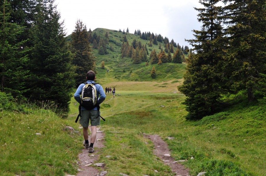 una persona, gente, hombre, aire libre, bosque, montaña, treking, deportes, caminar, caminata, libertad, salud, adulto, explorar, camino, sendero, 