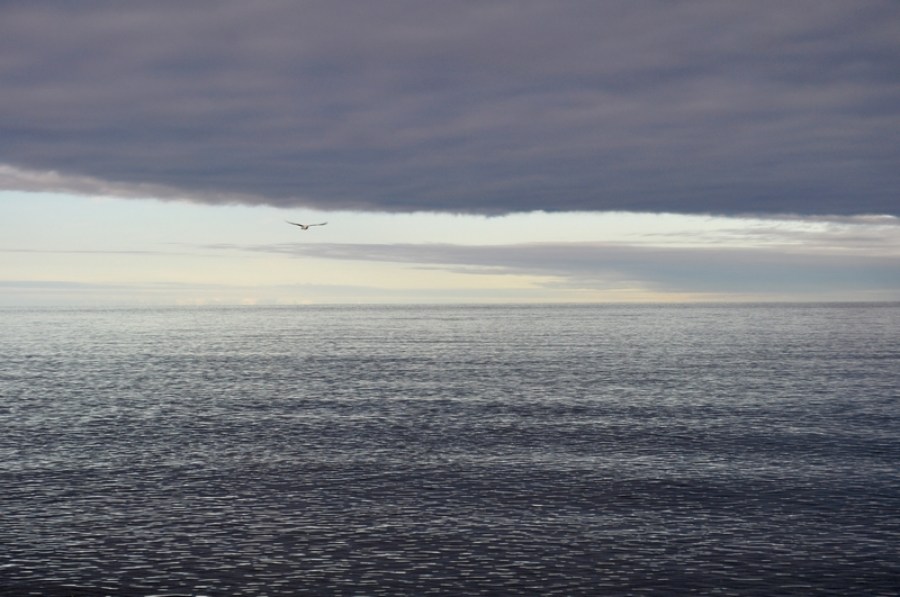 atardecer, ocaso, horizonte, nubes, nube, puerto madryn, dia, playa, costa, cielo, argentina, chubut, paisaje, gaviota, ave, pajaro, volando, volar, 