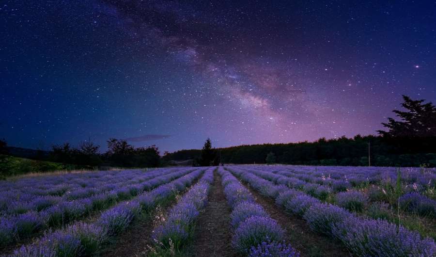 galaxia, estrella, noche, cielo, astronomía, naturaleza, fondo, nebulosa, ciencia, camino, vía láctea, espacio, oscuro, paisaje, montaña, viajar, constelación, lechoso, planeta, astrofotografía, ligero, belleza, azul, verano, asombro cósmico, cosmos, brillante, universo, espacio exterior, sagitario, exposición, largo, océano, aventura, negro, brillante, campo, playa, hermoso, acantilado, colina, al aire libre, mar, extraterrestre, profundo, distante, polvo, tierra, exploración
