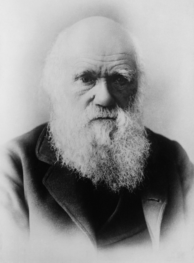 Charles Darwin, ciencia, evolucion, cientifico, 1800s,  personalidad, blanco y negro, 