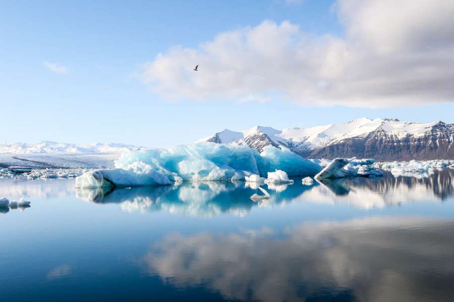ártico, antártida, polar, glaciar, iceberg, global, congelar, derretir, blanco, témpano, submarino, vector, océano, norte, helado, antártico, gráfico, majestuoso, profundo, infografía, glacial, extremo, enorme, resplandor, aventura, pingüino, bloque de hielo, brillante, riesgo, desafío, gestión, congelación, guay, con hielo, marco, descubrir, rayo, norteño, grupo, motor, ciencia, ballena, éxito, témpano de hielo, propina, formación, marina, metáfora, inversión , Finanzas
