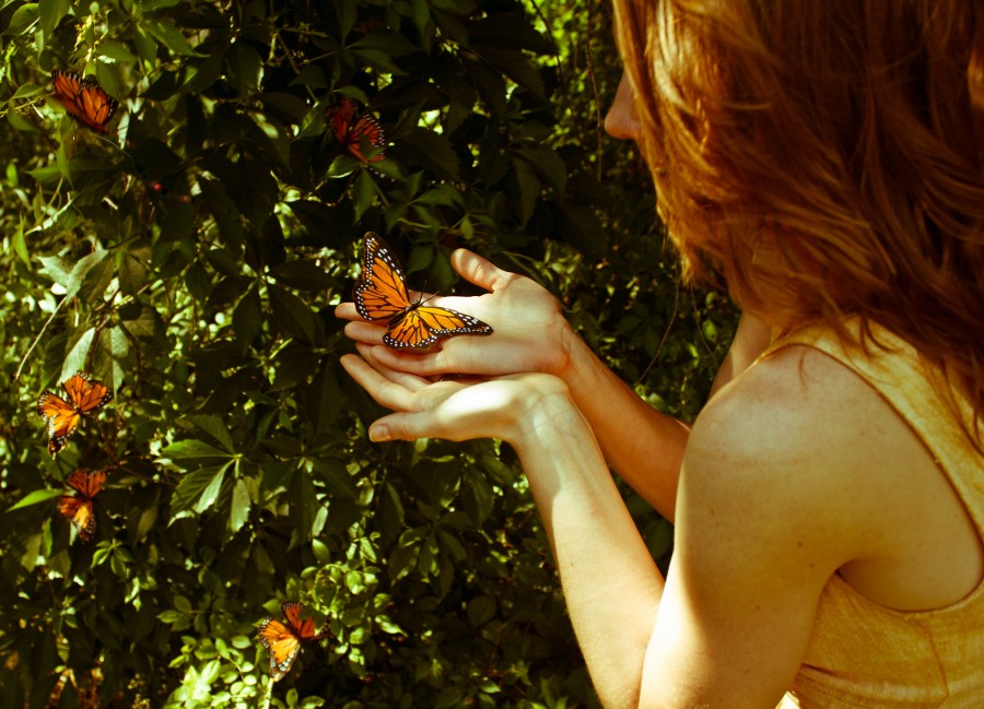Mujer, Una persona, Mariposa, Mariposas, escena, primavera, exterior, naturaleza, joven, 20 to 25 year old, 