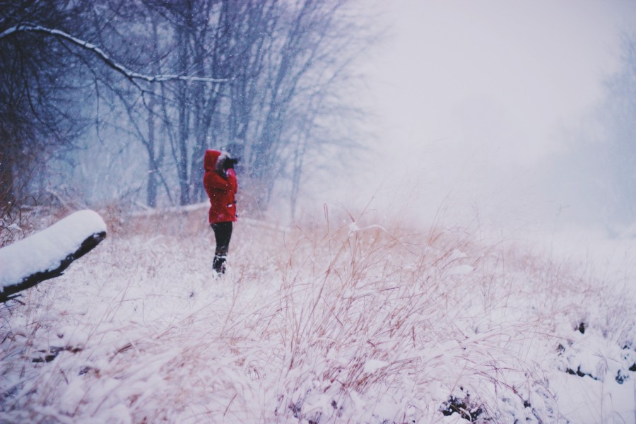 una persona, gente, mujer, invierno, nieve, nevado, rojo, exterior, frio, concepto, 