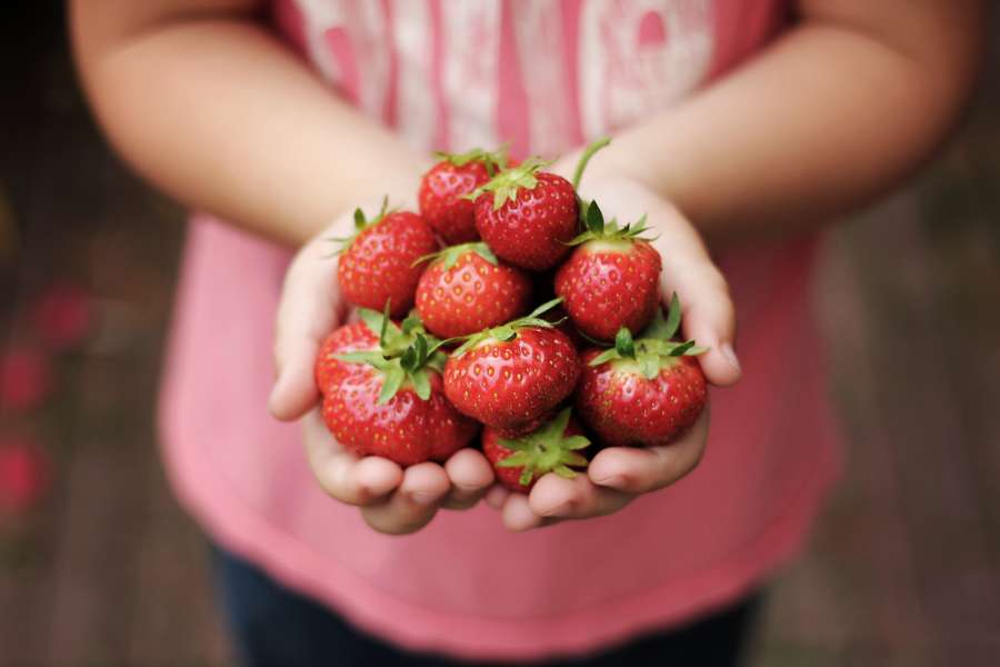frutillas, fruta, mujer, rojo, comida, saludable, fresco, puñado, 