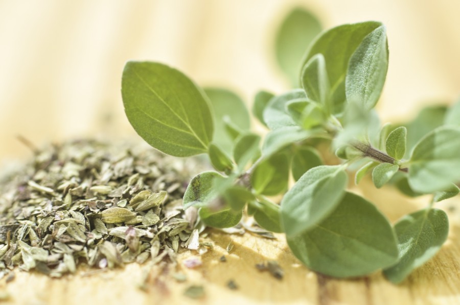 oregano, especia, condimento, fresco, seco, comidas