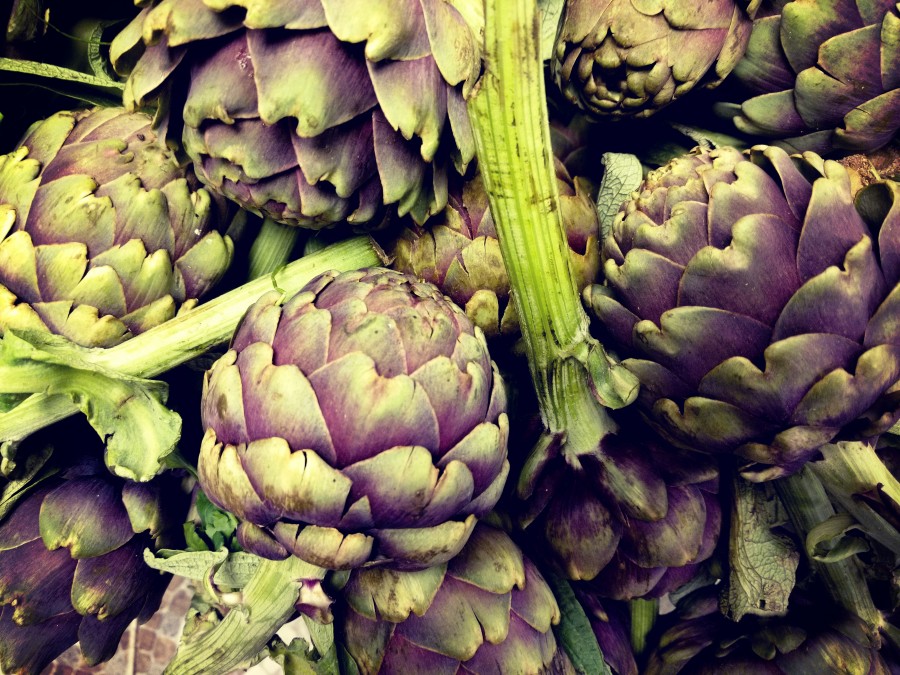 alcaucil, alcauciles, alcachofa, verduras, comida sana, orgánico, verduleria, verduras, nutrientes, vegetales, vegetal 