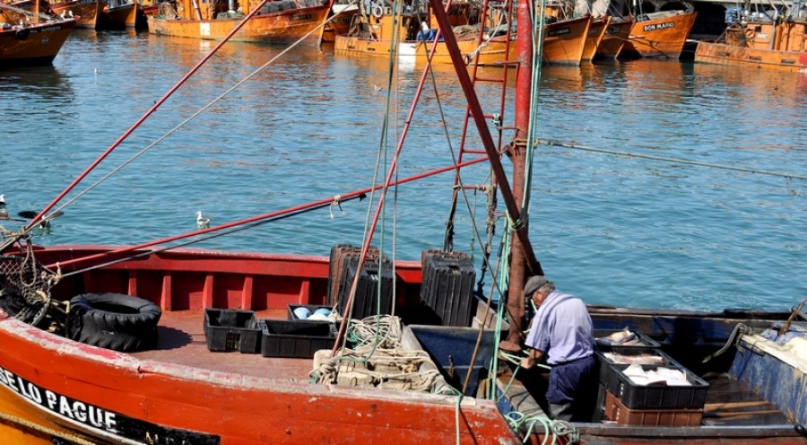 una persona, hombre, mar del plata, barco, pesquero, barcos, puerto, dia, adulto, pescador, pesca, 