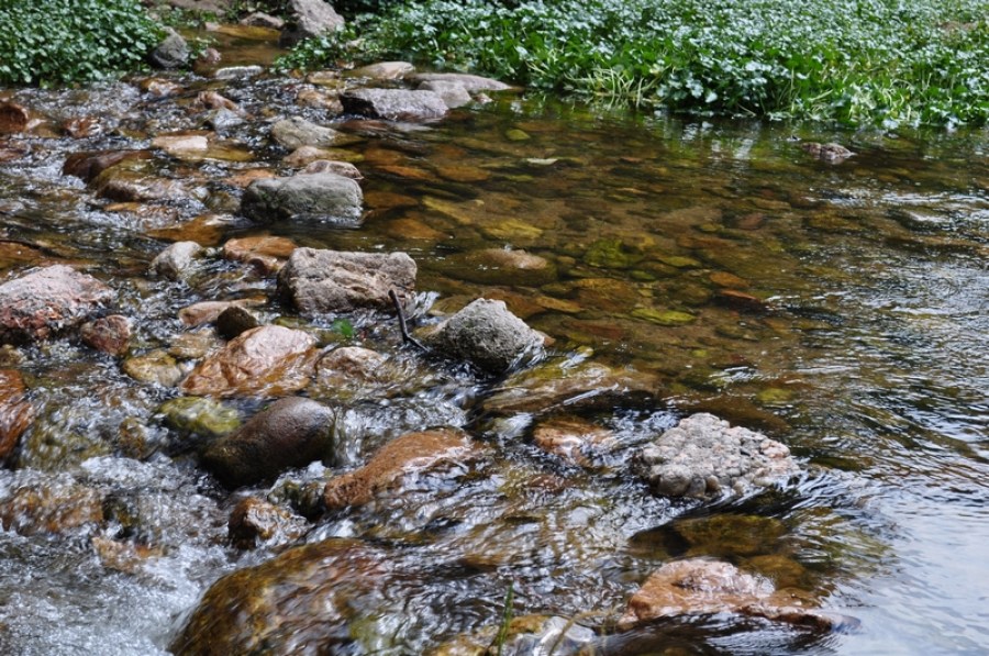 rio, piedra, piedras, corriente, roca, rocas, montaña, naturaleza, fondo, background, 