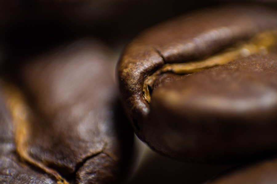 grano de cafe, cafe, grano, primer plano, detalle, 