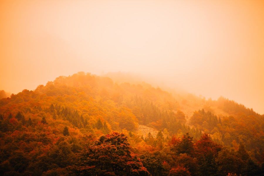 montaña, paisaje, atardecer, dia, verano, 