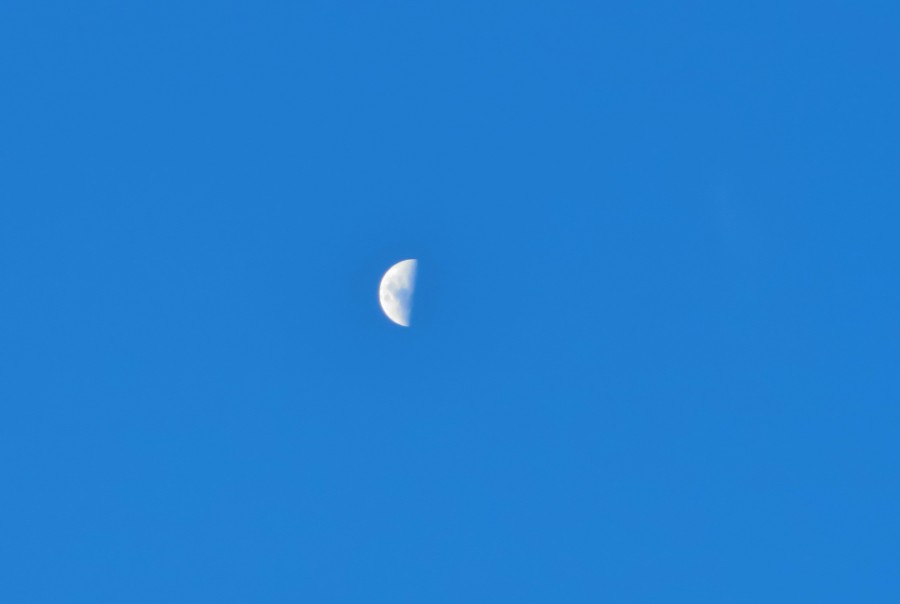 luna, cielo, media, mitad, 