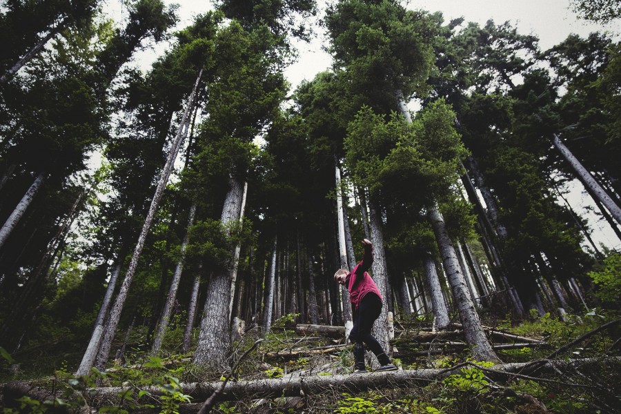 trekking, senderismo, deportes, equilibrio, arbol, bosque, paisaje, naturaleza, una persona, gente, hombre, vacaciones, viajar, viaje, 
