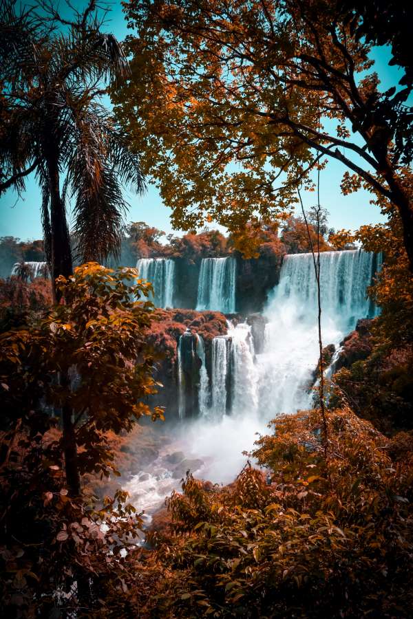 Brasil, río, argentina, agua, iguazú, naturaleza, cascada, turismo, viajes, paisaje, parque, selva, tropical, verde, iguazú, cascada, hermoso, unesco, natural, maravilla, misiones, selva, brasileño, américa, fluir, ver, nacional, famoso, sur, caídas, paraná, otoño, bosque, cielo, espectacular, iguassu, paisaje, mundo, sudamerica, exótico, catarata, latín, iguasu, aventuras, azul, al aire libre, cataratas, nubes
